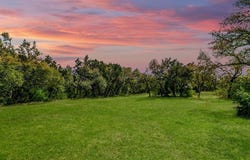 1104 Lone Star Dr, Cedar Park, TX 78613