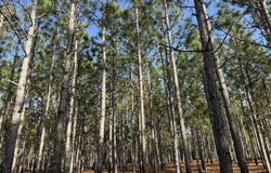 004 Hwy 45, Plains, GA 31780