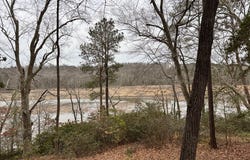 9E&9F Beech Tree Lane, TAPPAHANNOCK, VA 22560