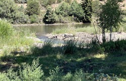14 Bluebird Lane, South Fork, CO 81154