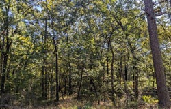 US Highway 270, Page, OK 74937