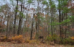 Summit Dr lot: 28, Eldred, NY 12732