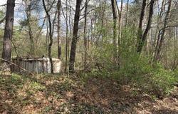 8113 Poplar Drive, Reading, MI 49274