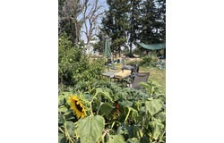 3175 Tomer Rd, Moscow, ID 83843