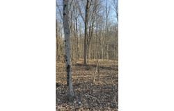 600 South, Reelsville, IN 46171