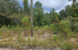 NE 67TH Street, BRONSON, FL 32621