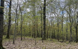 Cold Spring Road, Milan, NY 12514