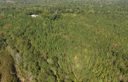 County Road 38, Safford, AL 36728