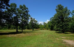 132 Polk Road 676, Mena, AR 71953