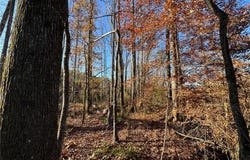 COUNTY ROAD 278, FIVE POINTS, AL 36855