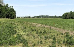 N State Road 75, North Salem, IN 46165