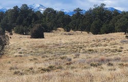 47 White Cloud Dr, Cotopaxi, CO 81223