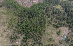 NNA Davis Creek, Santa, ID 83866