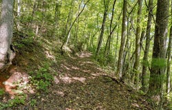 Fern Hill Drive, Franklin, NC 28734