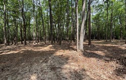 29 Harmony Hills Circle, HEATHSVILLE, VA 22473