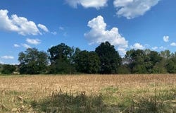 2770 Hwy 305, COLDWATER, MS 38618