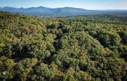 25 Upper Lakeview Drive, Madison, NH 03849
