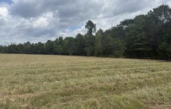 CR 2001, New Boston, TX 75570
