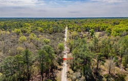7262 SONIA Avenue, WEBSTER, FL 33597