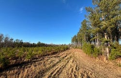 456 Irving Road, Saluda, SC 29105