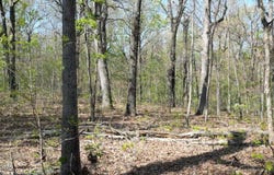000 62 S Plainview Road, Anderson, MO 64831