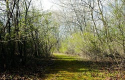 State Hwy 56, Viroqua, WI 54665