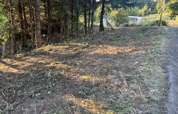 NE Jabez St, Winlock, WA 98596