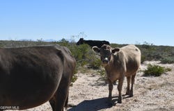 T-B-D, Fort Hancock, TX 79839