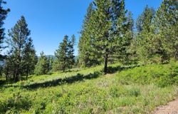 GOLD MOUNTAIN Rd, REPUBLIC, WA 99166