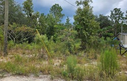 NE 67TH Street, BRONSON, FL 32621
