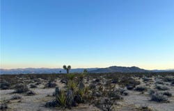 1010 Celeste Road, Joshua Tree, CA 92252