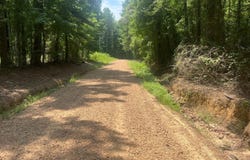 Hwy 51 & Coleman Rd, Durant, MS 39063