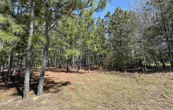 223 Mimosa Drive, Gaston, SC 29053