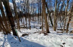 3398 ORME, TEMPLE HILLS, MD 20748