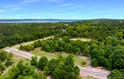 Sadie Ln, Bear Lake, MI 49614
