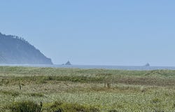 856 NEACOXIE Blvd, Gearhart, OR 97138