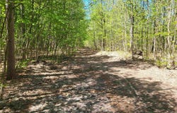 00 N HULBERT ROAD, INTERLOCHEN, MI 49643
