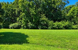 DOE CROSSING lot: 40, MELFA, VA 23410