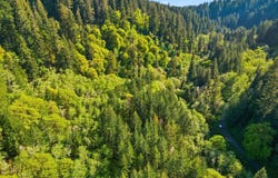 Upper N Ford Rd, Florence, OR 97439