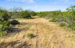 TBD LT9 Broken Ranch Trail, Alice, TX 78332