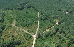 Columbia Rd 295, Magnolia, AR 71753