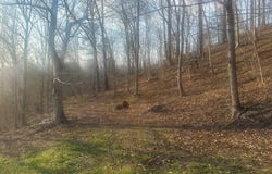 1203 Broadbottom Rd., Pikeville, KY 41501