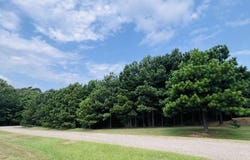284 Leeward Drive, Hemphill, TX 75948
