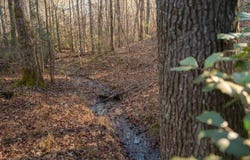 03 Mill Pine Rd, Liberty, SC 29657