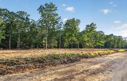 004 Cantrell Road, Mansfield, MO 65704