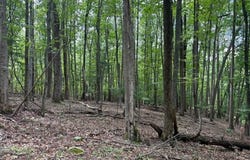 195 FRIENDLY LN, STANLEY, VA 22851