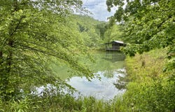 88 Mae Gumm Road, Tyner, KY 40486