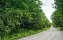 31 Woodsman Road, Dover, VT 05356