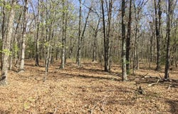 Cass Road, Hartville, MO 65667