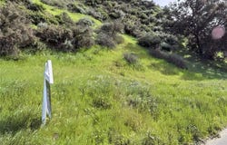 Vac Lincoln Avenue, Castaic, CA 91384